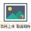 BA-12-12馬弗(fú)爐(lú)（箱式(shì)電阻爐）